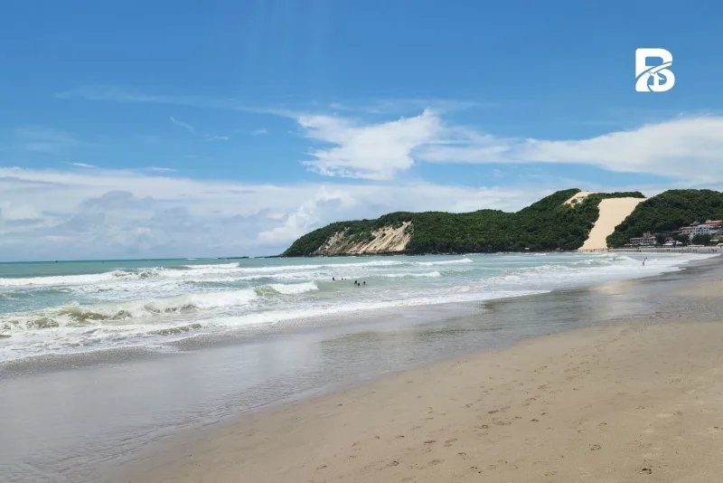 Natal
